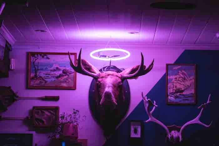 Book a table page. The famous world bar moose with a neon halo.